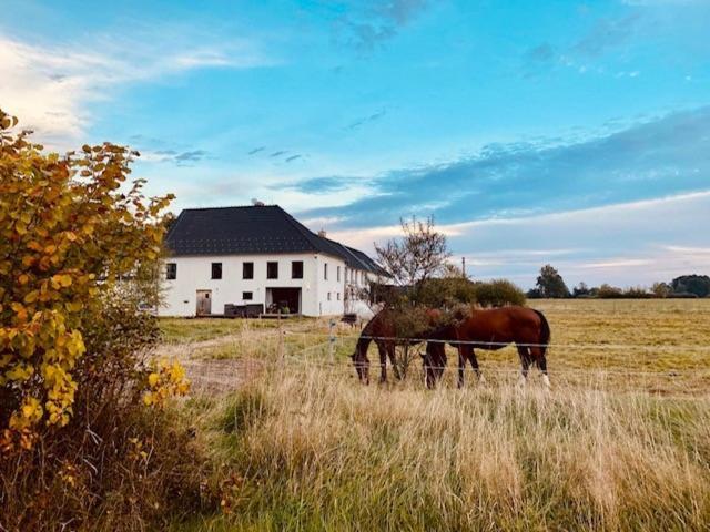 Peškův mlýn - apartmán Borovany  Esterno foto